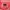 Kodak Streetwear Sweatshirt Pria red pink photo 3