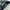 Marni Y2K Tote bag Wanita green photo 5
