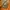 The North Face Sportswear Casual Track jacket Wanita orange photo 4