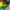 New Balance Skater Casual Sweater Pria green yellow photo 3