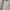 Avant Garde Muslim Casual dress Wanita cream photo 2