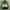 Nike Streetwear Y2K Windbreaker Pria white black photo 8
