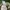 Nike Streetwear Y2K Windbreaker Pria white black photo 6