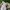 Nike Streetwear Y2K Windbreaker Pria white black photo 5