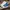 Converse Streetwear Casual Sneakers Kids blue photo 3