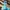 Converse Streetwear Casual Sneakers Kids blue photo 6