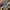 Converse Streetwear Casual Sneakers Kids blue photo 1