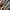 Converse Streetwear Casual Sneakers Kids Blue