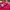 Adidas Sportswear Track jacket Wanita pink photo 5