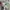 Columbia Y2K Casual T-shirt Pria multicolor photo 3