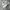 Nike Sportswear Casual Sneakers Kids white photo 2