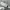 Nike Sportswear Casual Sneakers Kids white photo 6