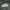 Nike Sportswear Casual Sneakers Kids white photo 3