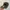 New Era Streetwear Hat Pria multicolor photo 2