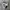 Nike Streetwear Casual Sneakers Kids White