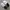 Nike Streetwear Casual Sneakers Kids white photo 5