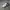 Nike Streetwear Casual Sneakers Kids white photo 4