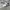 Nike Streetwear Casual Sneakers Kids white photo 3