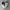 Nike Streetwear Casual Sneakers Kids white photo 2