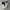 Nike Streetwear Casual Sneakers Kids White