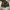 Bally Casual Reworked Sneakers Pria red brown photo 5