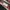 Adidas Streetwear Y2K Hoody Pria multicolor photo 4