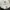 Adidas Streetwear Y2K Hoody Pria multicolor photo 5