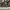 VANS Luxury Casual Sneakers Wanita white brown photo 2