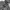 Sportswear Windbreaker Pria gray photo 7