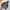 Sportswear Windbreaker Pria gray photo 5