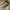 Bally Casual Reworked Loafer Pria tan khaki photo 3
