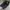 MLB Gorpcore Sportswear Boots Pria black cream photo 2