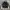 Yves Saint Laurent YSL Casual Bomber Jacket Pria White Black