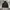 Yves Saint Laurent YSL Casual Bomber Jacket Pria White Black