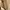 Miu Miu Minimalist Casual Crossbody Bag Wanita tan photo 5