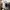 Converse Casual Casual shoe Pria black photo 5