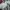 WHO.A.U Casual Sweatshirt Pria green photo 4