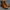 Biker Casual Boots Wanita brown photo 2