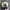 Japanese brand Streetwear Skater Hat Pria tan black photo 3
