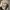 Japanese brand Streetwear Skater Hat Pria tan black photo 4
