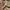 Hard Rock Cafe Vintage Y2K Polo shirt Pria tan brown photo 3