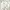 Vintage Y2K Casual Shirt Pria White Tan