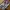 Nike Casual Sneakers Pria purple photo 1