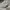 New Balance Sportswear Casual Sneakers Wanita silver photo 3