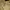 Carhartt Reworked Bag Pria tan black photo 7
