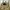 Carhartt Reworked Bag Pria tan black photo 5