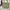 Carhartt Reworked Bag Pria tan black photo 4