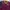 Nike Y2K Sportswear Jersey Pria purple red photo 2