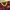 Nike Y2K Sportswear Jersey Pria purple red photo 3