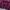 Nike Y2K Sportswear Jersey Pria purple red photo 4